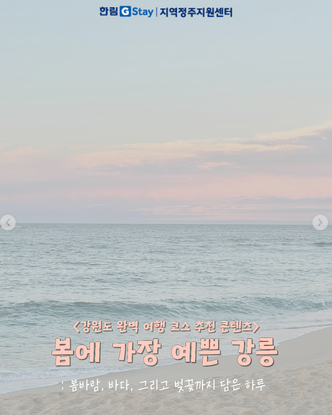 [G-Sㅓ포터즈 5기] {강원도 완벽 여행 코스 추천 콘텐츠} 봄에 가장 예쁜 강릉: 봄바람, 바다, 그리고 벚꽃까지 담은 하루