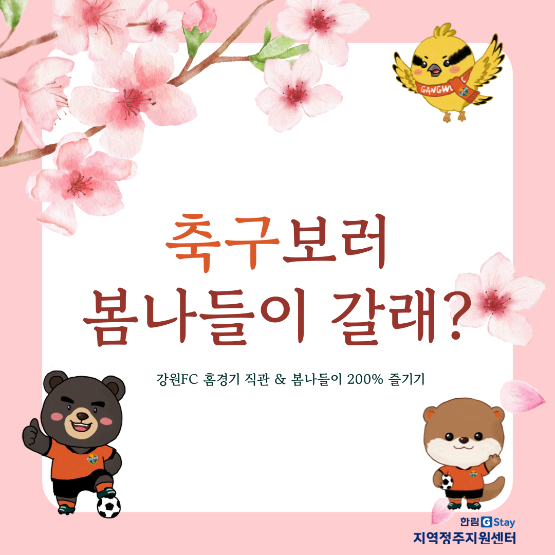 [G-Sㅓ포터즈 5기] 축구보러 봄나들이 갈래? 강원FC 홈경기 직관 & 봄나들이 200% 즐기기