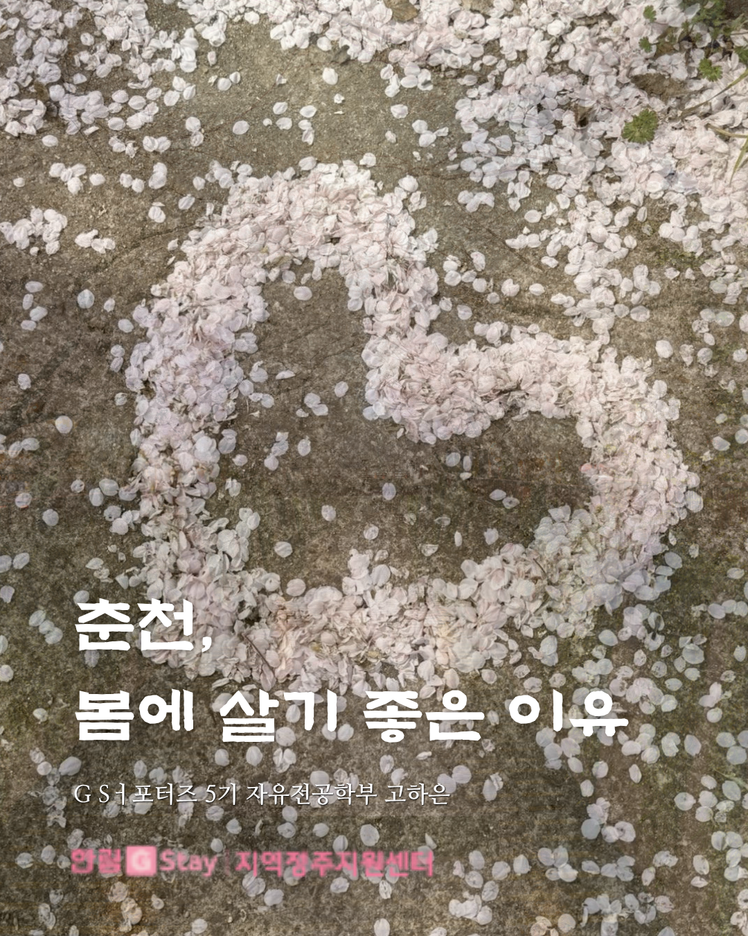 [G-Sㅓ포터즈 5기]