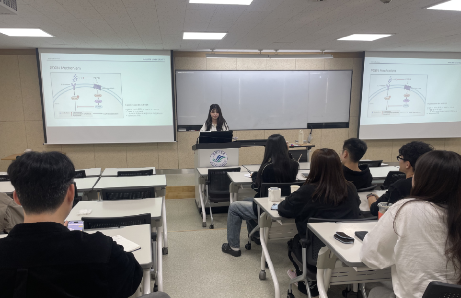대학원 세미나
